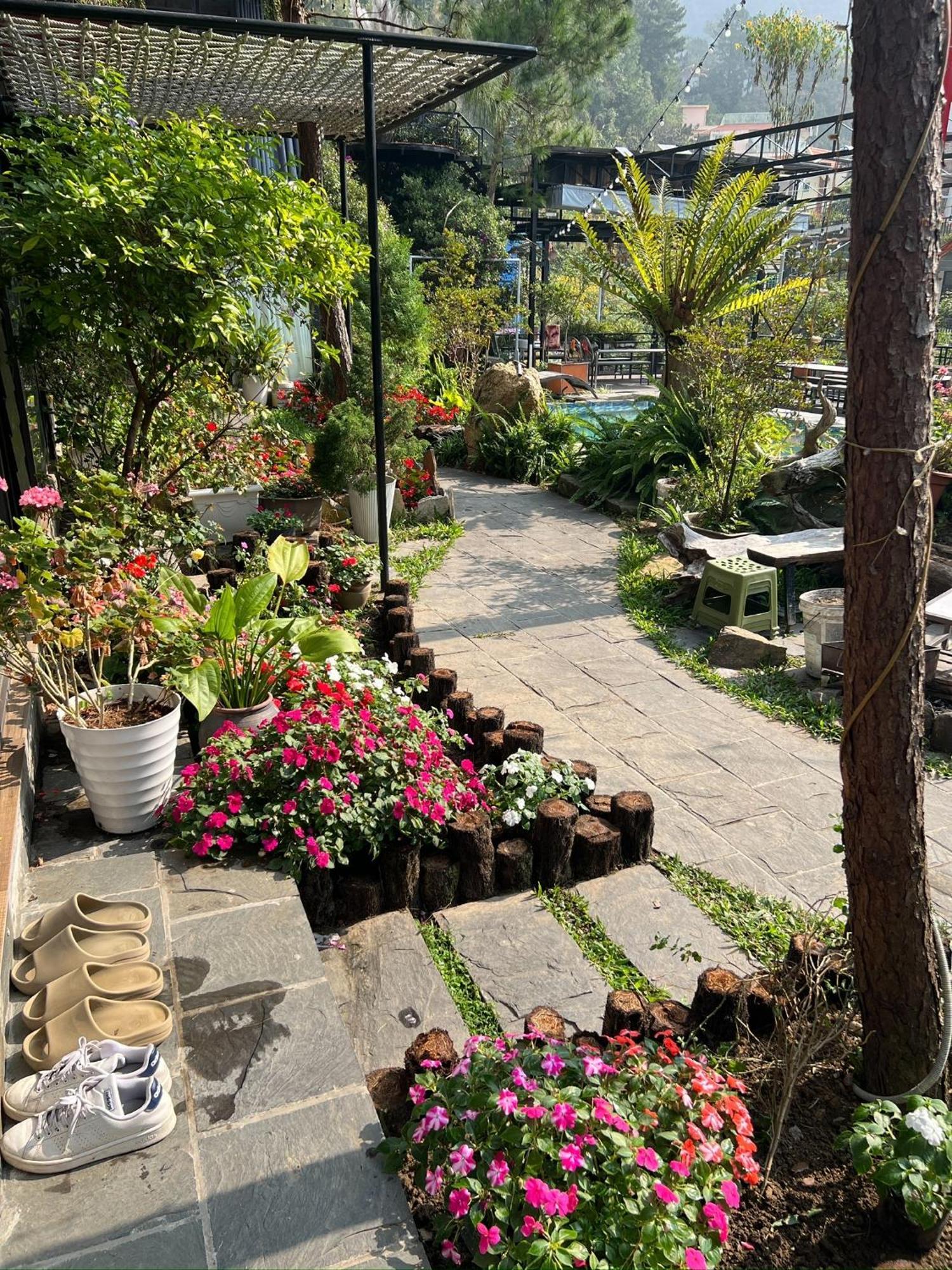 Bach Xanh House. Triangle Bungalow Tam Dao Экстерьер фото